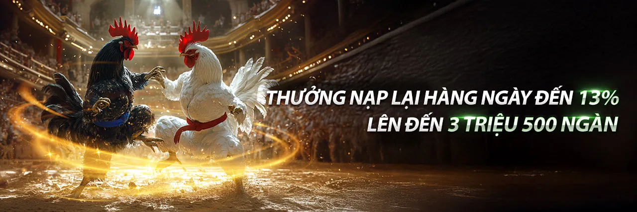 Đá gà Thomo 16/4 trực tiếp tại VIP52 Club